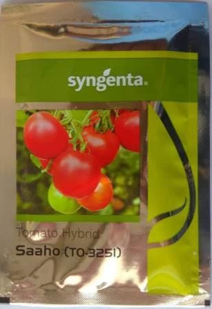 Syngenta Saaho Tomato Seeds 3251 - 3500 Sds
